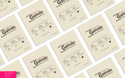 Innovación diseño y seguridad para elevar cada detalle de tu baño con elegancia en el nuevo catalogo de Griferías Galindo