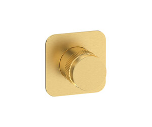 Grifo ducha empotrable 1 vía Zoom oro cepillado